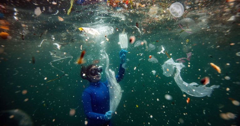 A new congressionally mandated report for the National Academies of Sciences, Engineering, and Medicine paints an ugly picture of the amount of plastic waste the country produces.