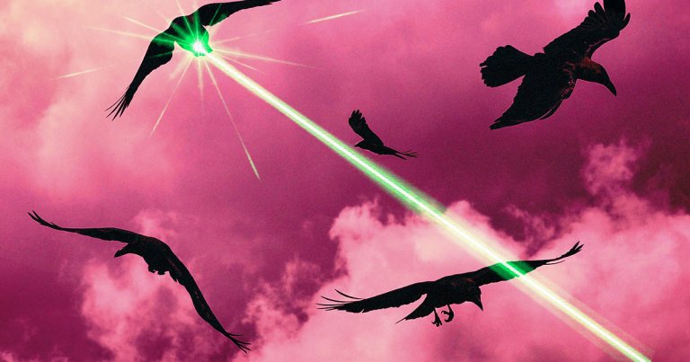 Think your town is bad? At least you don't have such a bad crow problem that officials are planning to use lasers to get rid of them.
