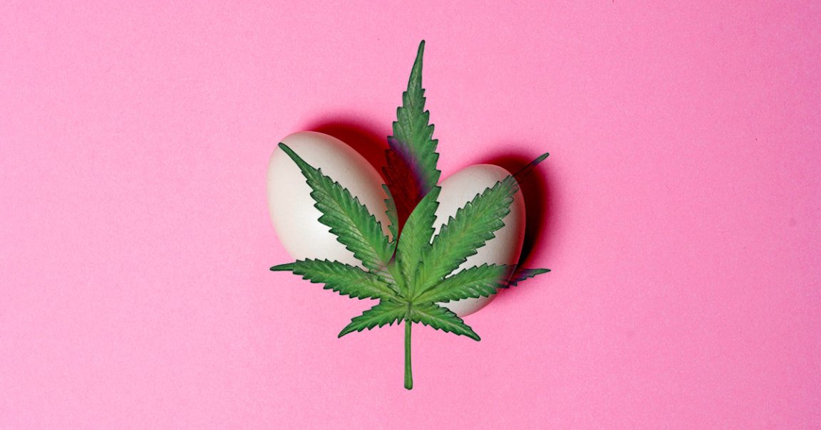 Eating edibles may have adverse effects on testicles, a new study suggests.