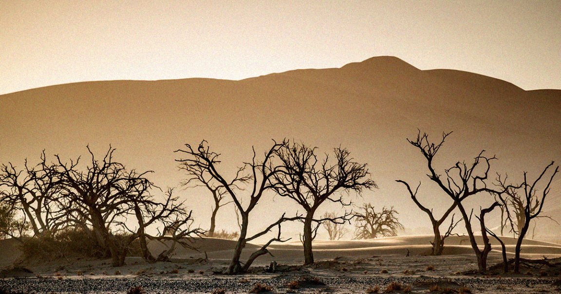 Geneticist Brian Hanley explained his life-extending experiments and why climate change will be his future cause of death if he lives to be 150 years old.