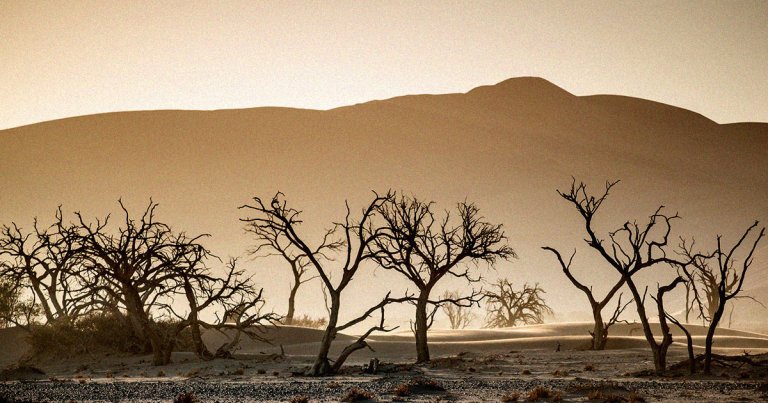 Geneticist Brian Hanley explained his life-extending experiments and why climate change will be his future cause of death if he lives to be 150 years old.