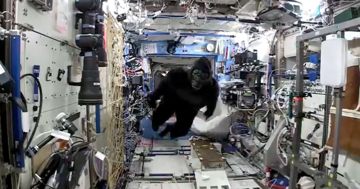 The first gorilla suit Mark Kelly sent his twin in space exploded in 2015 when a SpaceX Falcon 9 rocket was lost in a massive fireball.
