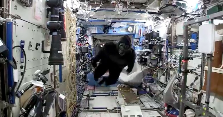 The first gorilla suit Mark Kelly sent his twin in space exploded in 2015 when a SpaceX Falcon 9 rocket was lost in a massive fireball.