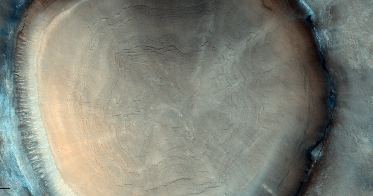 A new photo taken by ExoMars Trace Gas Orbiter, or the TGO, shows a tree stump-like crater on Mars, providing insight into impacts on the Martian surface.