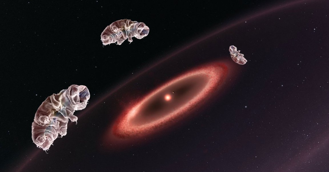 Two professors say the first interstellar travel may transport tiny microscopic organisms known as tardigrades, or water bears, through space.