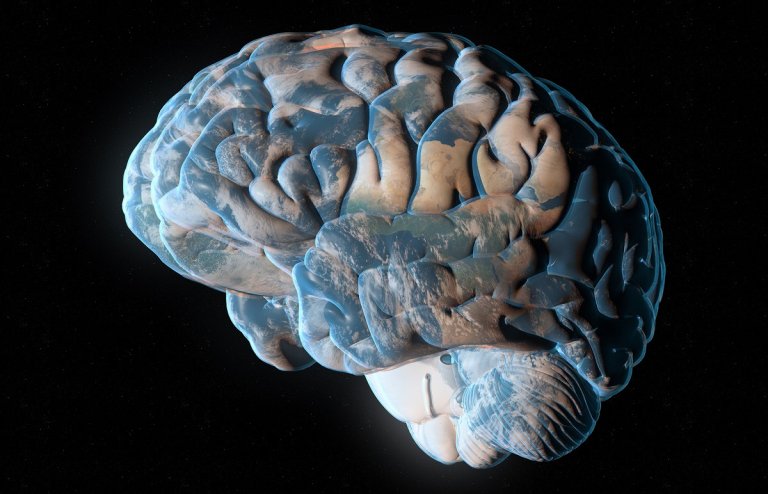 A team of scientists have posit the idea “planetary intelligence,” which describes the collective knowledge and cognition of an entire planet.