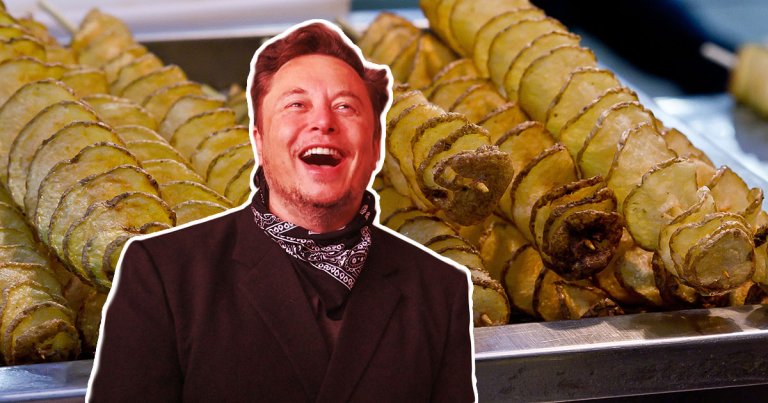 Elon Musk walks into a sombrero festival...and the memes write themselves.