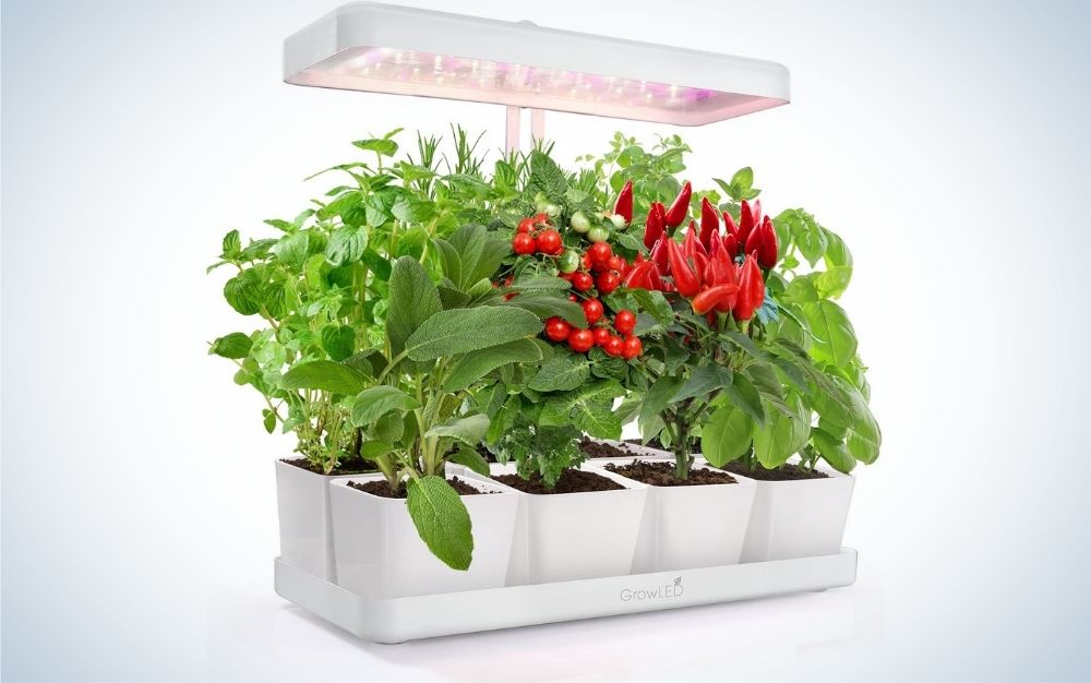 Growled LED Indoor