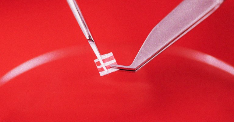 There are apparently some drug researchers who hate fun and think that microdosing is fake. 