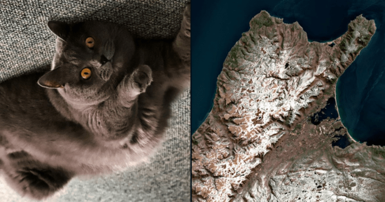 The Canadian Space Agency tweeted a photo of the Cape Breton Highlands in Canada but most people saw a cat extending a paw toward the sky in a new meme.