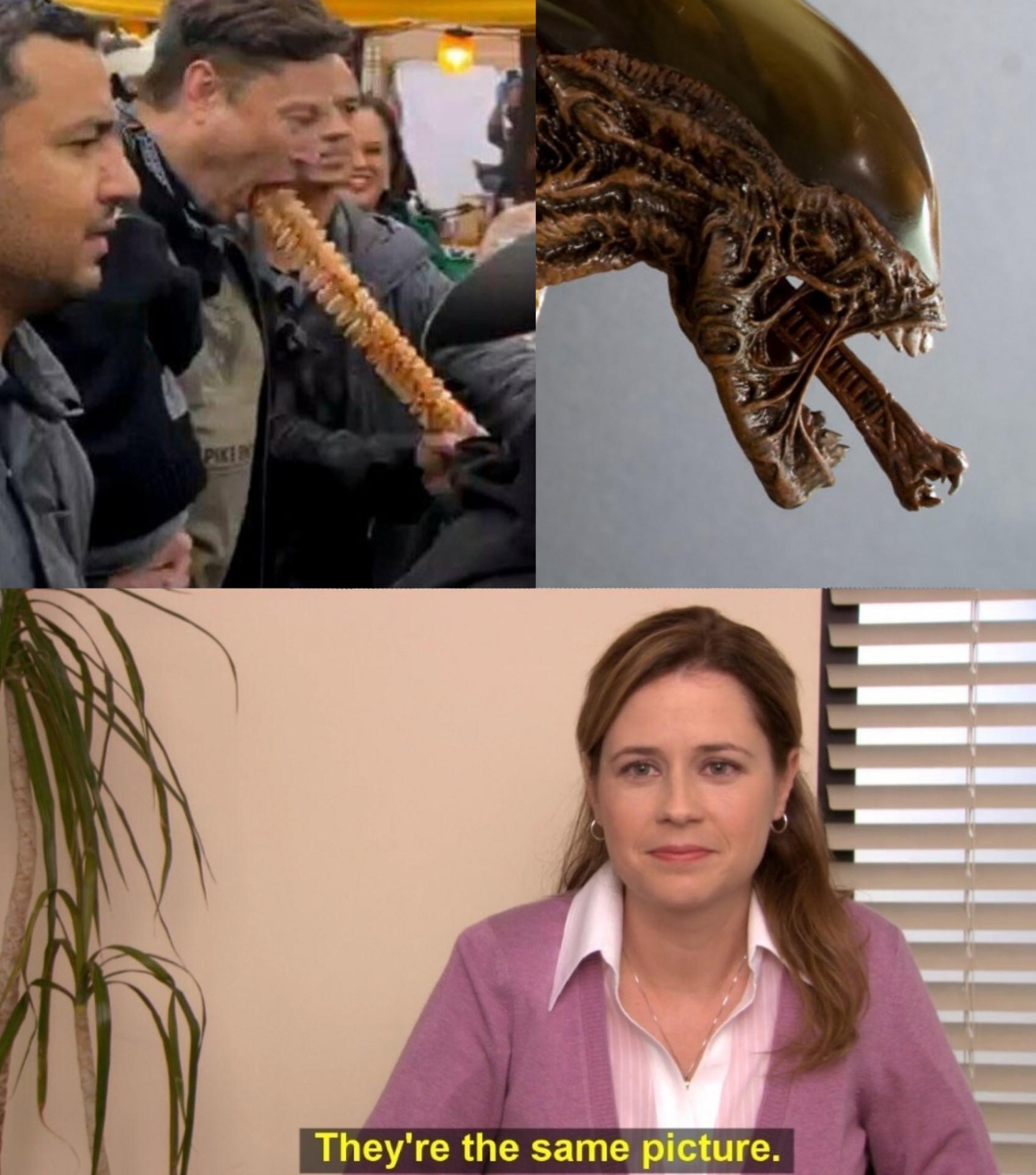 Elon Alien