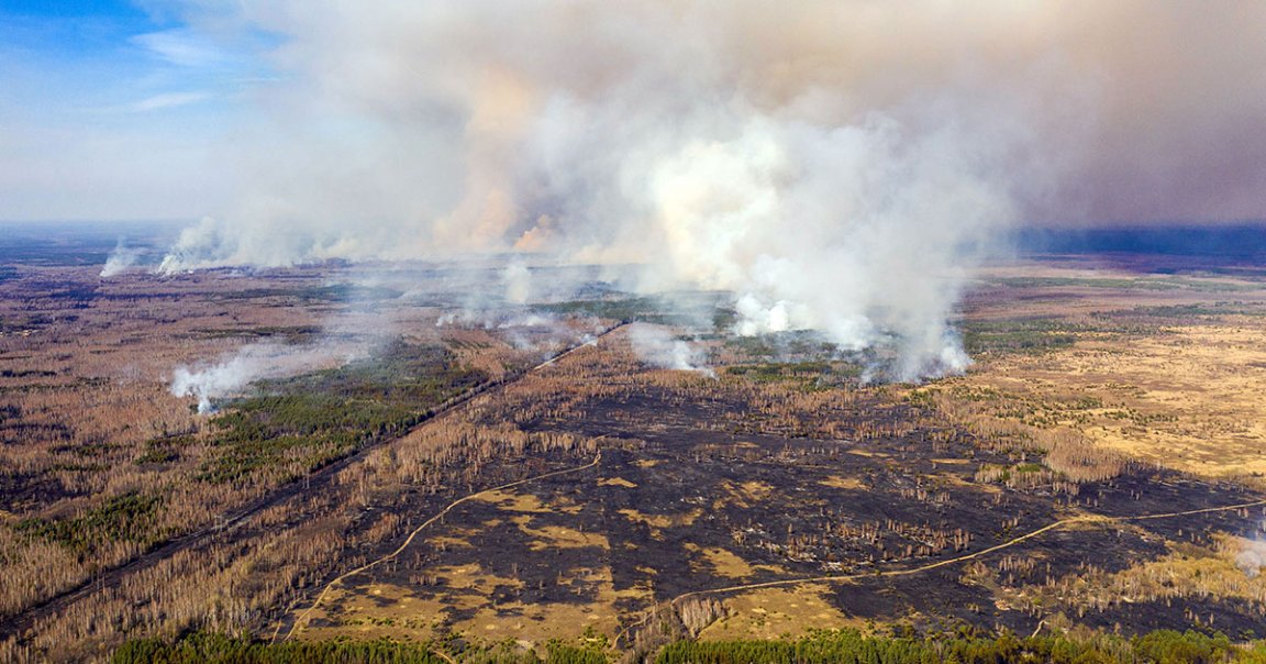 Several forest fires have erupted near the Chernobyl nuclear reactor in Ukraine, which was taken over by Russian troops late last month.
