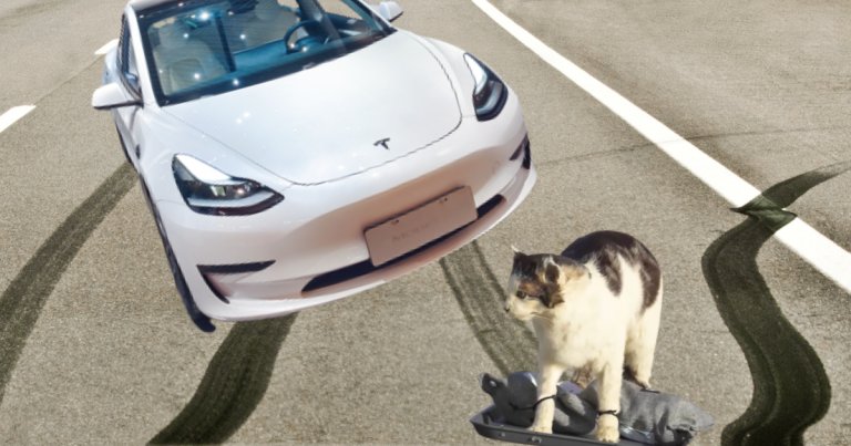 A car enthusiast tested the Tesla Model 3 auto-braking safety system by driving at a taxidermy cat and a cardboard cutout of CEO Elon Musk.