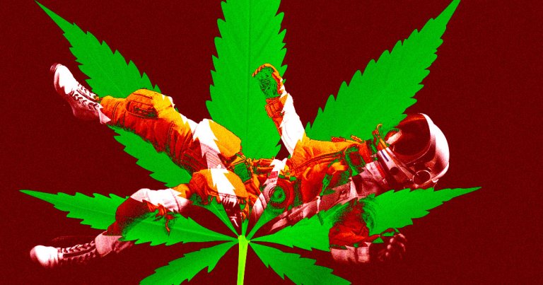 Former Astronaut Details Quest to Grow Cannabinoids in Space