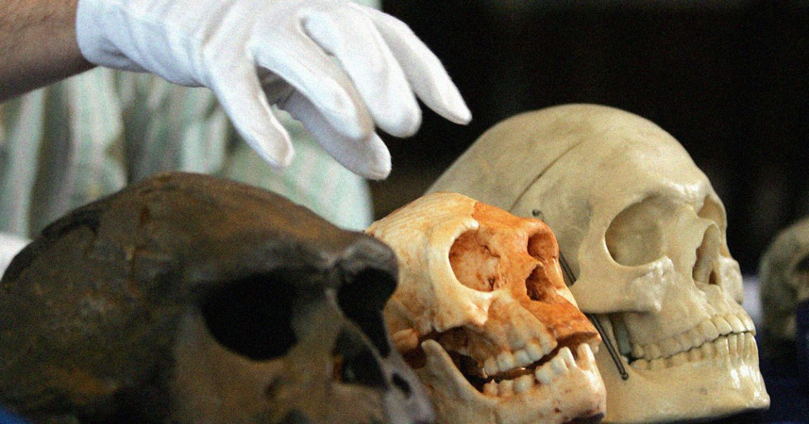 It's been nearly 20 years since the bones of a Hobbit-like humanoid species were discovered — and according to one researcher, they may still be among us. 