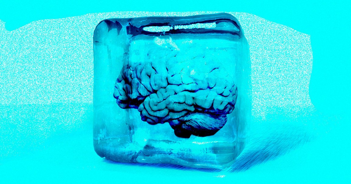 Two of the co-founders of a Russian cryogenics company called KrioRus are fighting over the ownership of dozens of cryogenically frozen brains.