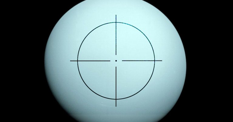 The world's top scientists have spoken — and they want to see Uranus. 
