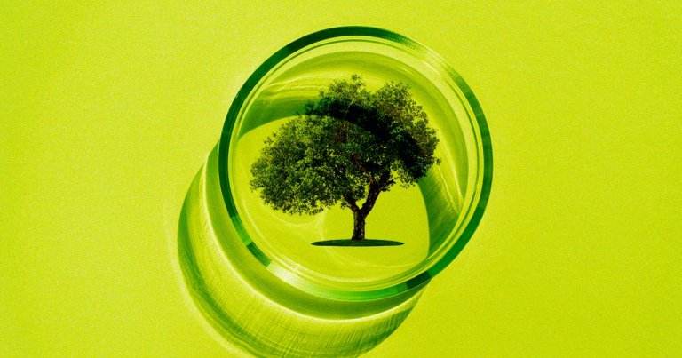 Researchers at MIT have come up with a new way to grow "wood-like plant material" in a lab, without ever having to resort to chopping down a tree.