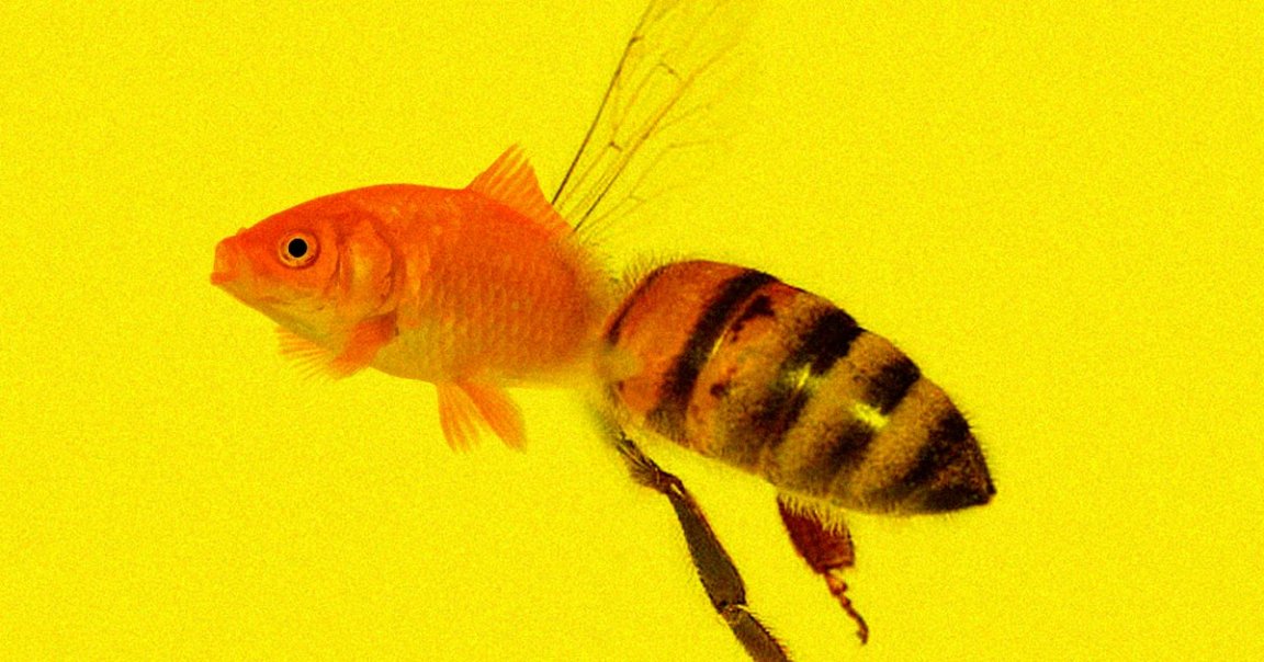 A California court has ruled that bees technically count as fish in a conservation effort that could actually end up helping the buzzy boys.