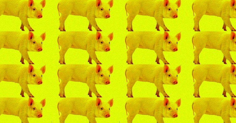 Chinese scientists are reported to have developed a fully-automated, pig-cloning robot, and the AI-powered bot is apparently way more efficient than humans.
