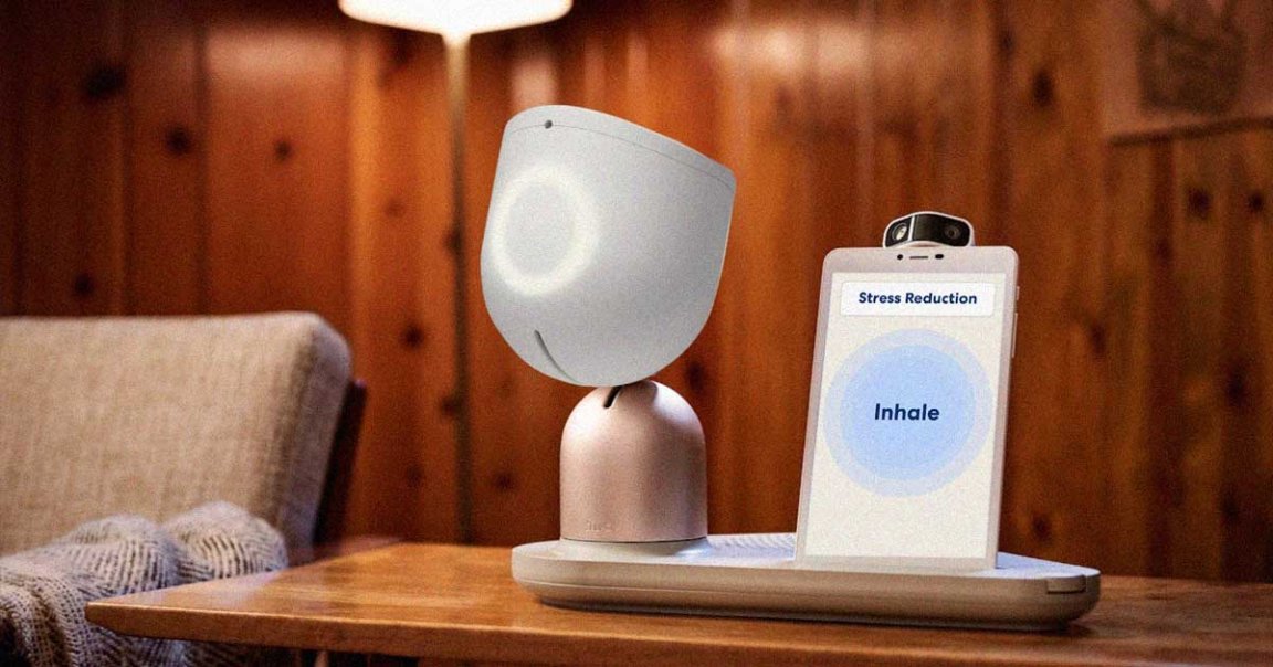 The state of New York has purchased more than 800 robots nammed ElliQ to assist seniors who live alone by setting reminders, answering questions and more.