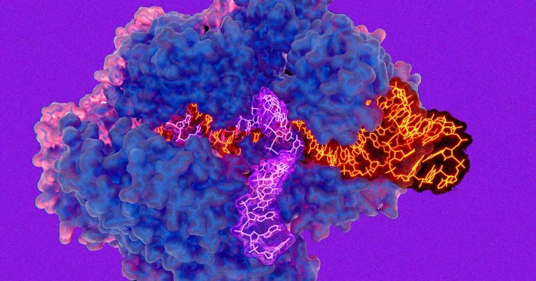 A long-running human trial has shown that CRISPR gene editing could prove to be a highly effective way of treating two rare blood disorders.