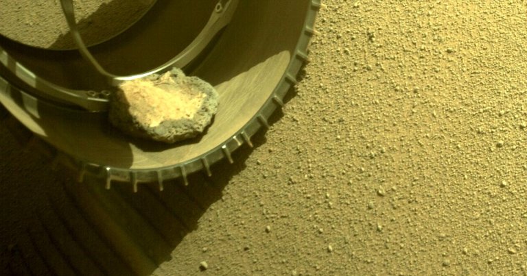 NASA's Perseverance Mars rover has unknowingly been traveling with a pet rock companion since at least early February, covering over five miles.