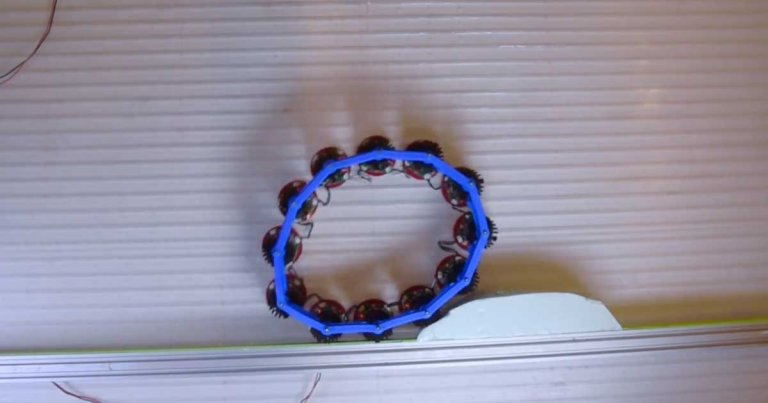 An international team of researchers have created a wriggly "odd wheel" robot that can spontaneously roll up an incline.