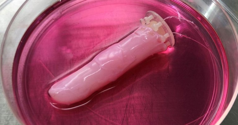 Scientists at the University of Tokyo have created a fleshy and "slightly sweaty" robotic finger that is covered in a pink layer of living skin.
