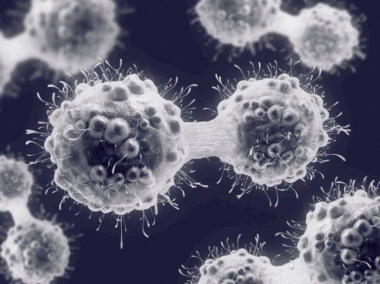 Doctors researching an experimental cancer treatment were shocked when every single patient in the small trial went into remission.