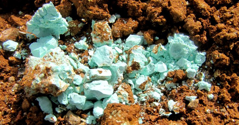 Several NGOs have co-signed a letter to Telsa and Elon Musk, begging the founder to avoid investing in Indonesia's nickel mining industry.