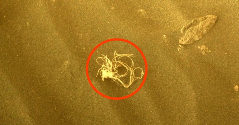 NASA's Perseverance Mars rover discovered something strange as it traversed Mars on Tuesday — a string-like material that looked like noodles.