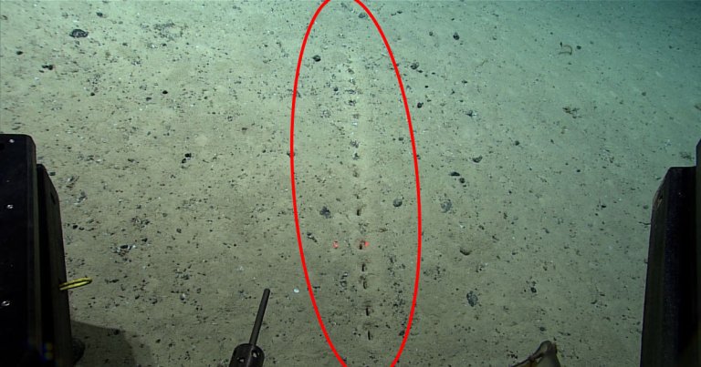 NOAA Ocean Exploration scientists came across a series of organized sublinear holes on the Mid-Atlantic ocean floor, and it's unclear who or what made them.