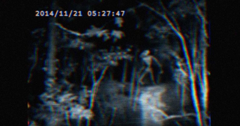 YouTube is once again screwing up its content moderation after designating a horror video as "for kids" and not allowing the creator to change the rating.