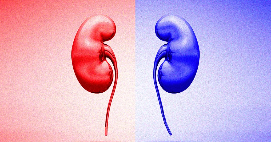 UK doctors have been able to successfully change the blood type of three donor kidneys from the rarer blood type B to "universal donor" type O.