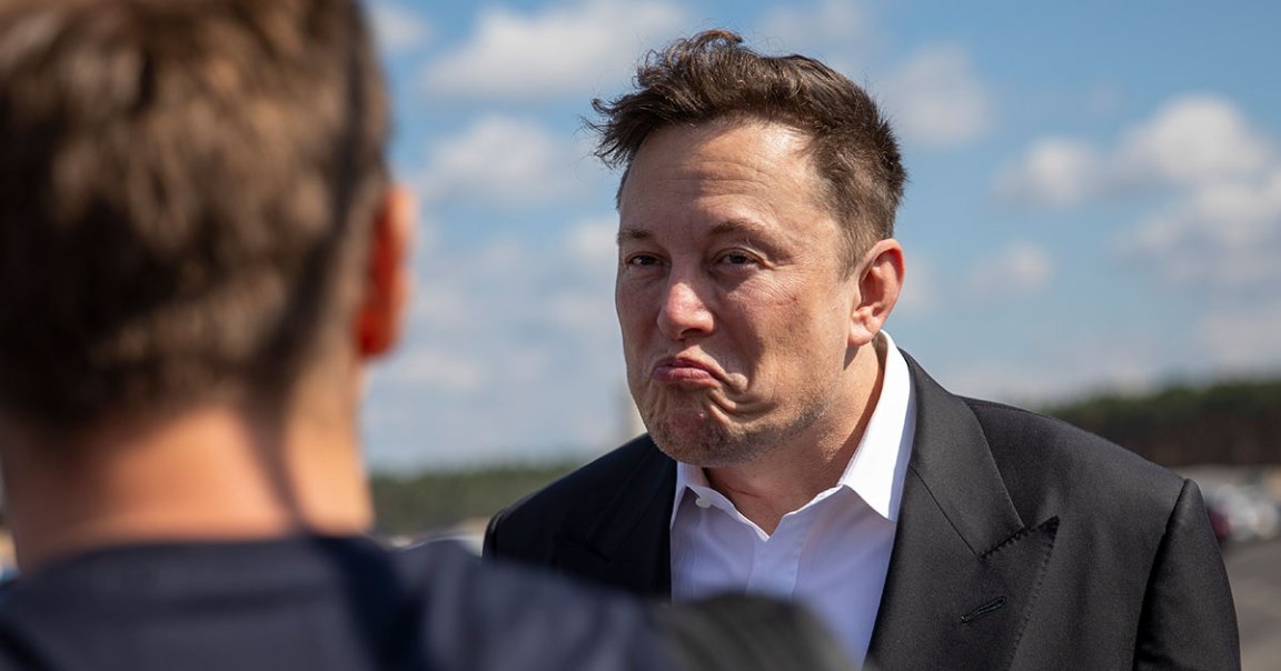 Tesla CEO Elon Musk has had enough of people pointing out the many bugs in the company's unfinished driver-assistance software.