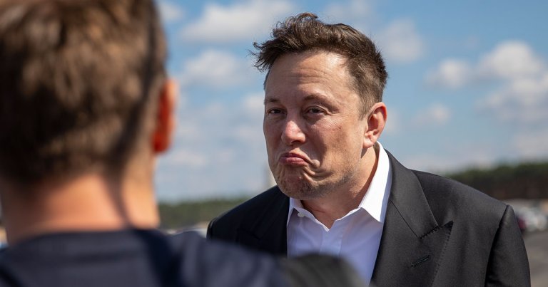 Tesla CEO Elon Musk has had enough of people pointing out the many bugs in the company's unfinished driver-assistance software.