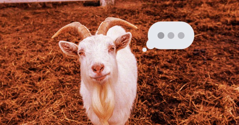 A group of animal lovers is looking to use machine learning to translate animal "language" into something humans can understand.