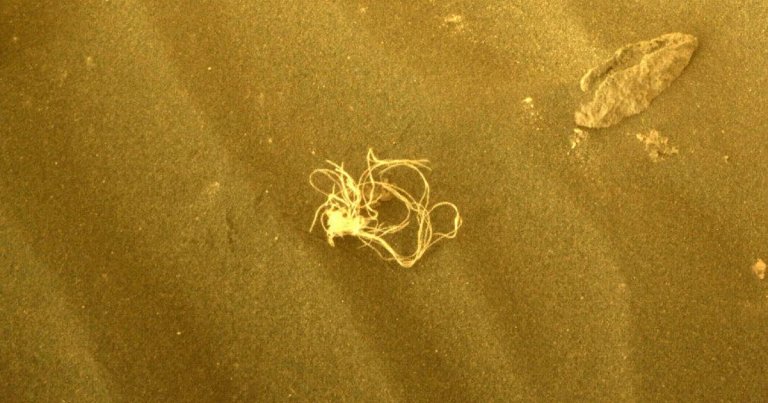 Last month, NASA’s Perseverance rover spotted an unknown, noodle-like object on Mars. Now the space agency has identified what actually is.