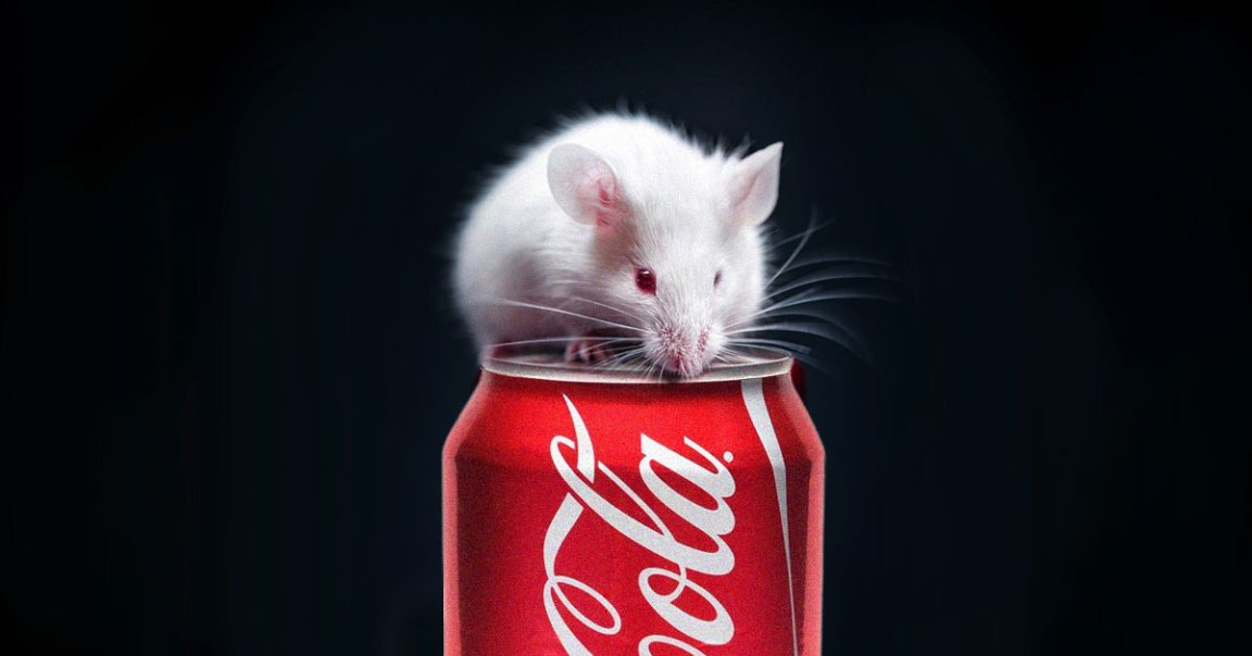 A recent study showed that feeding rats Cola-based soft drinks like Coke and Pepsi caused enough damage to their brains to cause... uh, some... stupidity.