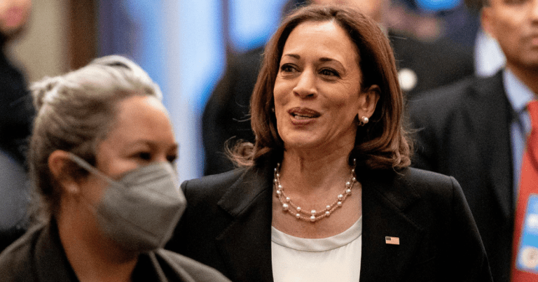 US Senate Democrats passed a bill to address climate change and energy needs through new corporate taxes on Sunday. Is it enough?