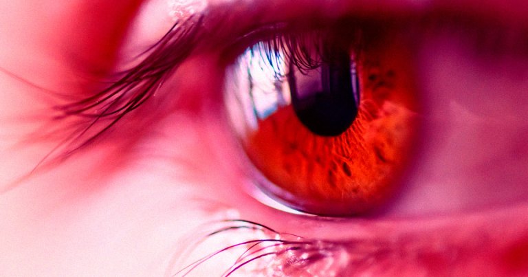 A two year study has restored the vision of 20 people who were significantly visually impaired by using a synthetic cornea implant made out of pig skin.