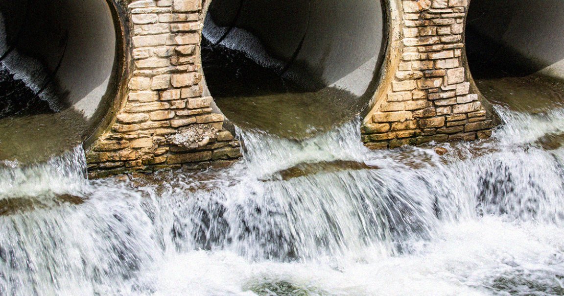 The UK's Environmental Agency announced that Britons may soon be drinking sewage water to counter the region's worsening environmental circumstances.