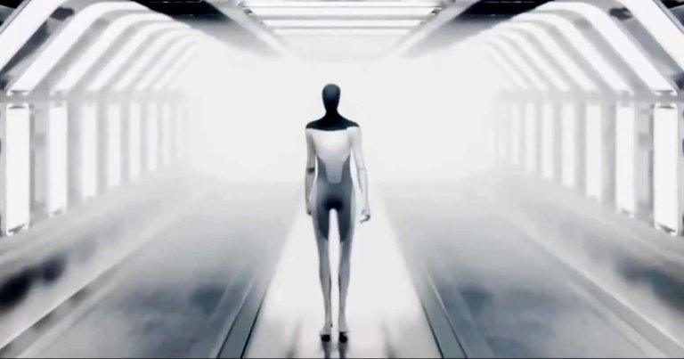 Tesla CEO Elon Musk is doubling down on the company's efforts to develop a working prototype of its Optimus humanoid robot.