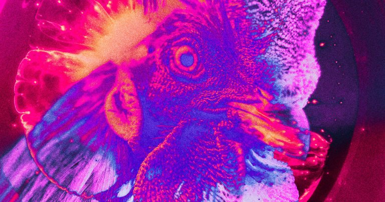 A social media trend where people cook chicken that's been marinated in NyQuil has caused the FDA to step in and say "stop."