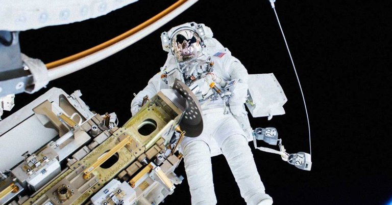 After examining blood samples from 14 NASA astronauts, researchers found that samples from all 14 astronauts showed mutations in their DNA.
