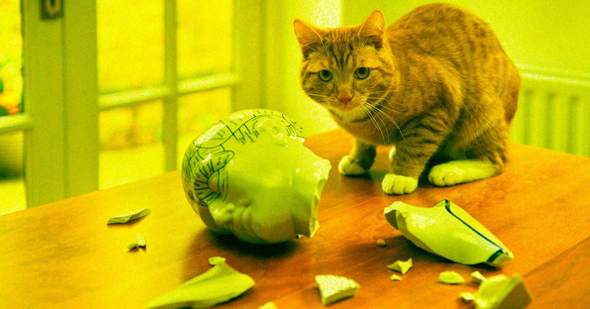Every cat person has suspected that their cats are ignoring them — and now, researchers seem to have proven that they're right.
