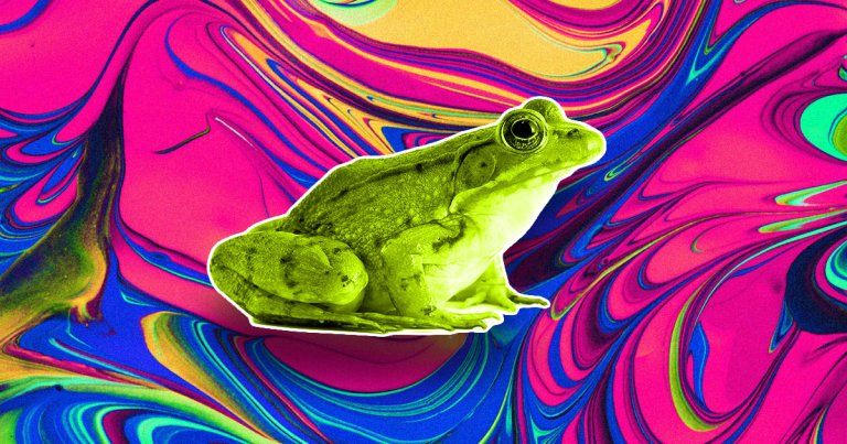 Evolution seems to have sped up near Chernobyl, where a small type of tree frog has changed substantially since the 1986 nuclear meltdown.