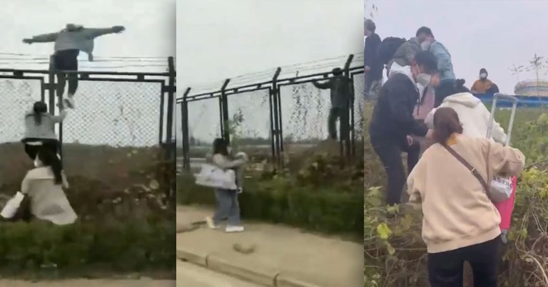 Videos show what appear to be workers at Foxconn's plant in China jumping a fence to reportedly escape the country's strict zero-COVID policies.