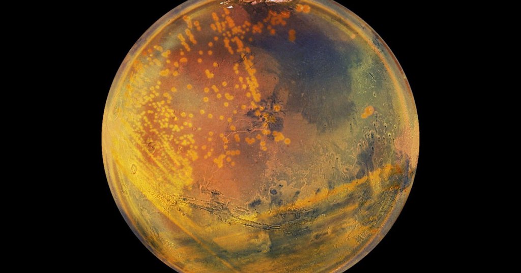 Researchers Say Super Survivor Bacteria May Be Under Mars Surface researchers-say-super-survivor-bacteria-may-be-under-mars-surface